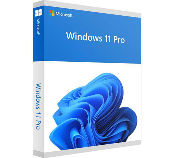 Microsoft Windows 11 Professional Lifetime Retail Product Key