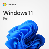 Microsoft Windows 11  Professional | OEM | License Product Key