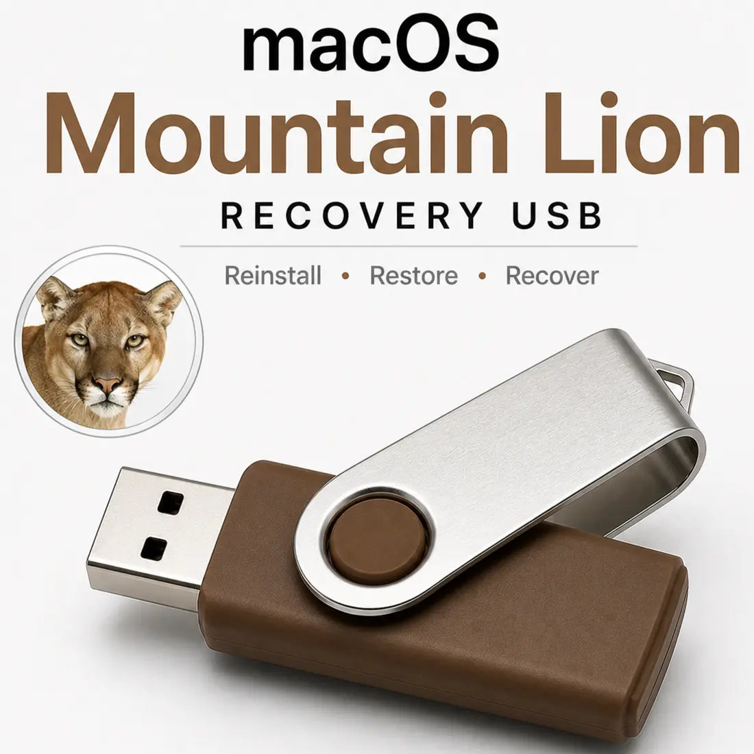 Mountain Lion MacOS Installation Recovery Bootable USB